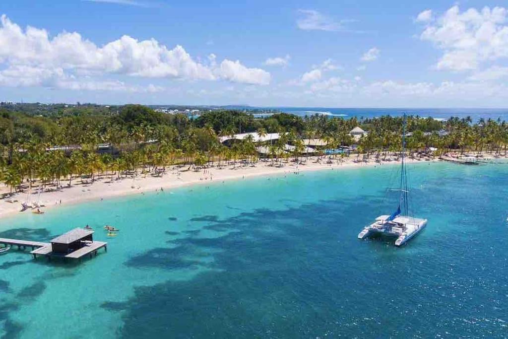 Le Sable Bleu - Evasion Tropicale A Sainte-Anne - Plage 5Min - Piscine - Parking - Logement Climatise - Vue Sur Les Palmiers - Parfait Pour Sejours En Famille Ou Entre Amis Esterno foto