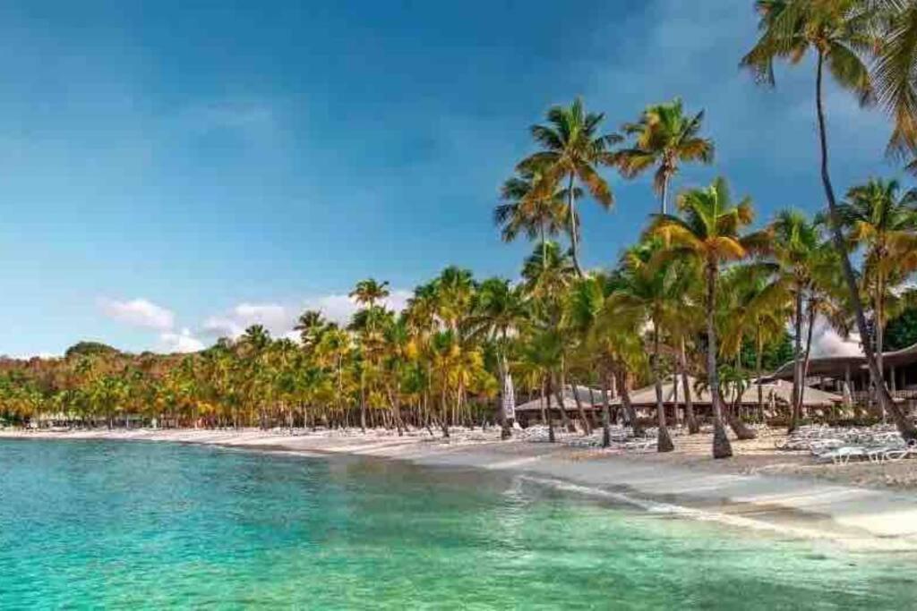 Le Sable Bleu - Evasion Tropicale A Sainte-Anne - Plage 5Min - Piscine - Parking - Logement Climatise - Vue Sur Les Palmiers - Parfait Pour Sejours En Famille Ou Entre Amis Esterno foto