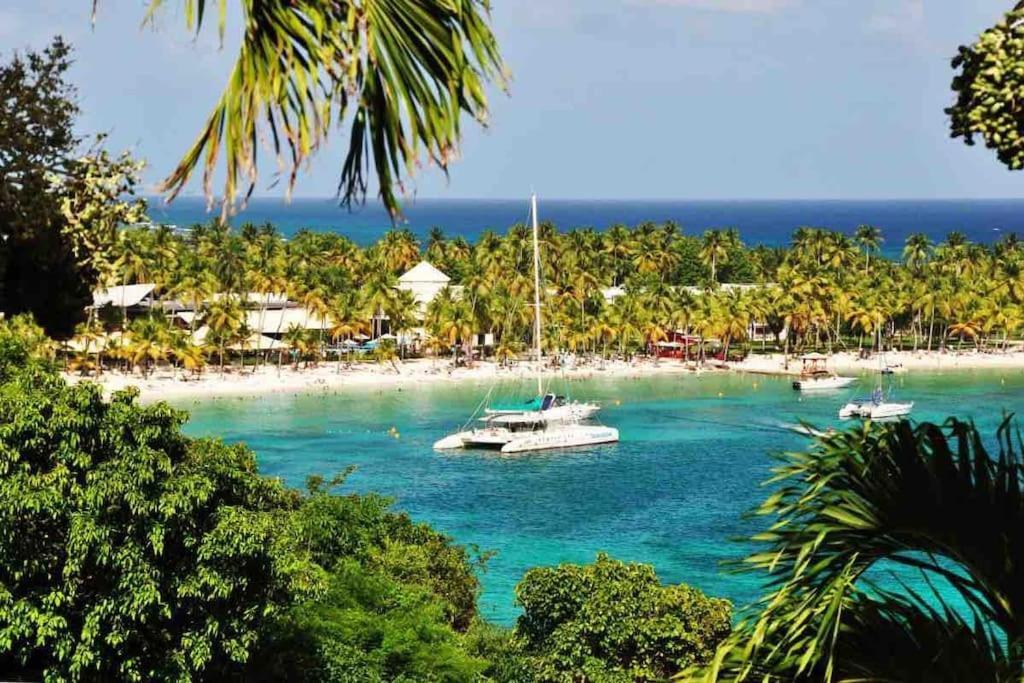 Le Sable Bleu - Evasion Tropicale A Sainte-Anne - Plage 5Min - Piscine - Parking - Logement Climatise - Vue Sur Les Palmiers - Parfait Pour Sejours En Famille Ou Entre Amis Esterno foto