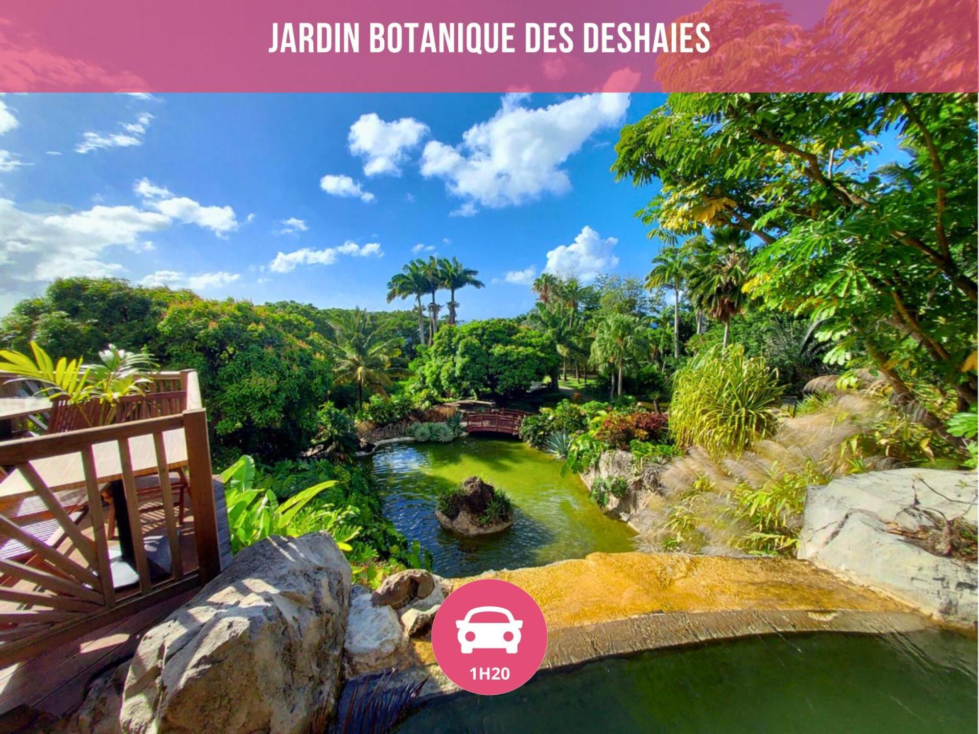 Le Sable Bleu - Evasion Tropicale A Sainte-Anne - Plage 5Min - Piscine - Parking - Logement Climatise - Vue Sur Les Palmiers - Parfait Pour Sejours En Famille Ou Entre Amis Esterno foto